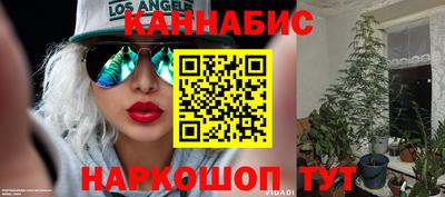эйфоретик Шелехов