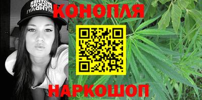 mdpv Ярославль