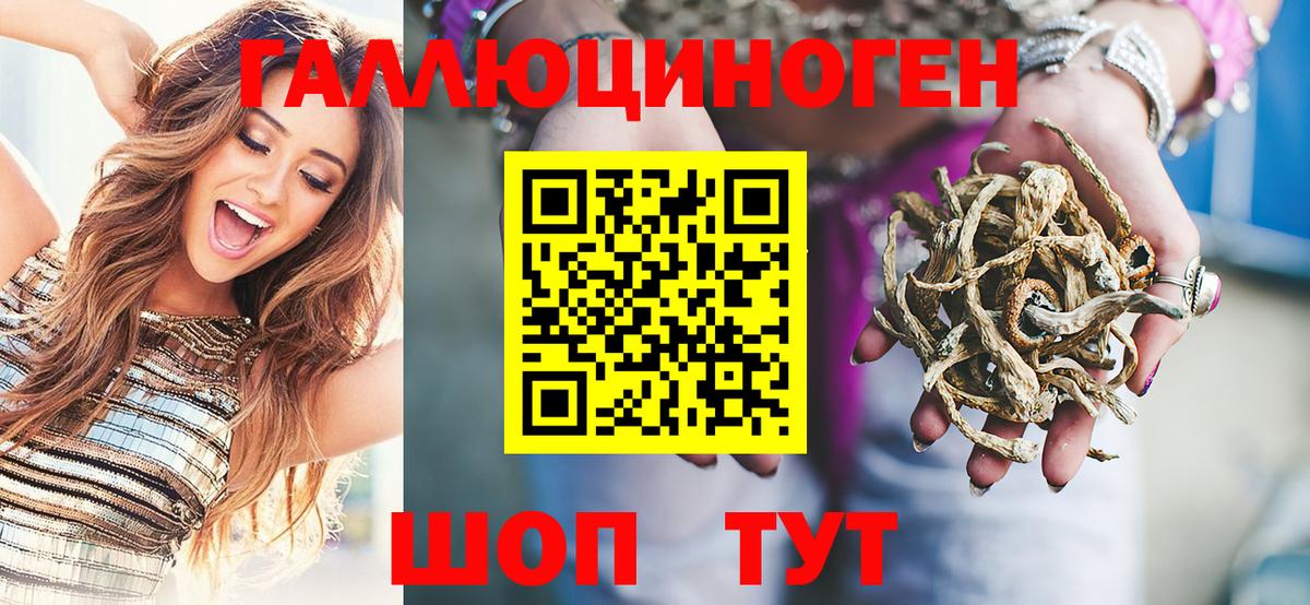 Псилоцибиновые грибы Psilocybine cubensis  Вход с VPN  Урай 