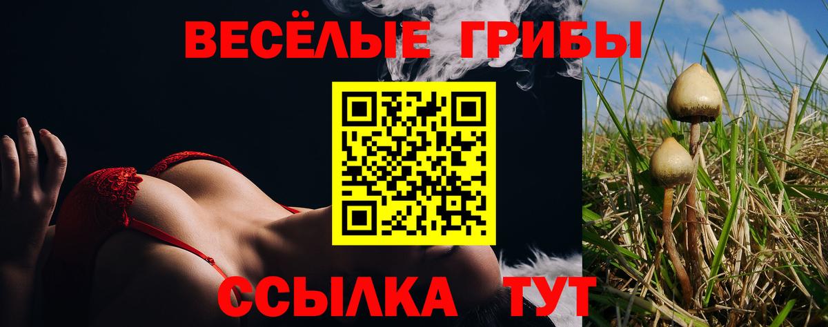 Галлюциногенные грибы Psilocybe Урай